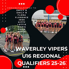 Image result for Tongham Netball Club