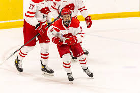 Image result for York University Hockey Club