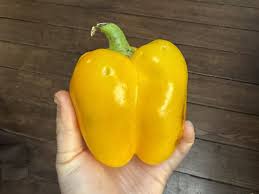 Afbeeldingsresultaat voor californian wonder golden sweet pepper