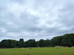 Image result for Bay Dragons CC