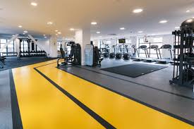 Image result for City Of Coventry Rhythmic Gym Club