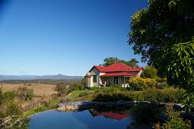 Image result for Ipswich Open Ultimate