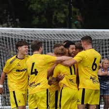 Image result for Bromyard Town Football Club Limited