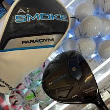 Image result for Richmond (Yorks) Golf Club