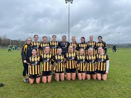 Image result for Silverbridge Harps Gac
