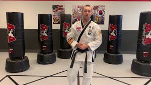 Image result for ATA Martial Arts Mobile