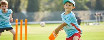 Image result for Hillhead Cricket Club