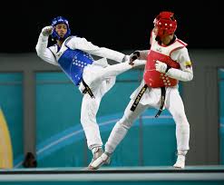 Image result for Taekwondo Athletes Program USA