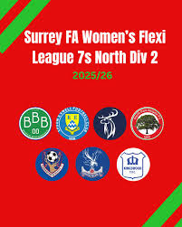 Image result for Horley Athletico Fc