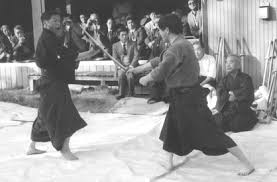 Image result for Ellis Schools of Traditional Aikido
