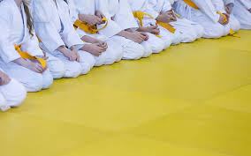 Image result for National Forest Taekwon-do