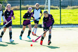 Image result for Norwich Dragons Hockey Club