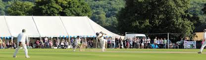 Image result for Aston Rowant Cricket Club