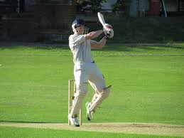 Image result for Shenley Village Cricket Club