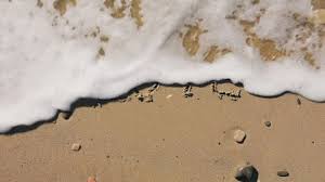 Image result for 1033128377