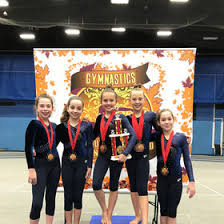 Image result for Epping Forest Elite Gymnastics Club