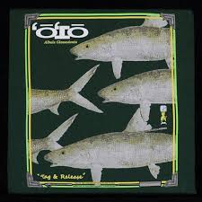 Image result for Albula glossodonta