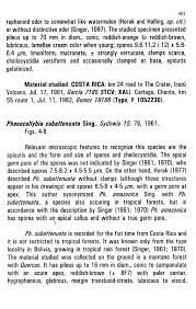 Attēlu rezultāti vaicājumam “Oligonema favogineum young”