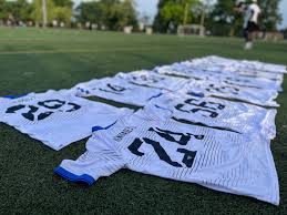 Image result for Predators Fc