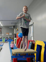 Image result for Tessaro Gymnastics Club