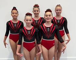 Image result for Buckingham Gymnastics Club