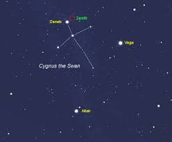 Attēlu rezultāti vaicājumam “Cygnus”