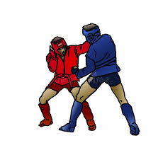 Image result for Combat Sambo