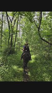 Image result for Patchett`s Green Riding Club
