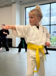 Image result for Kidderminster Martial Arts Academy