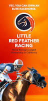 Image result for Elite Racing Club