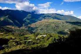 Výsledek obrázku pro yungas