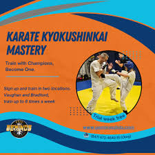 Image result for Kyokushinkai Karate Bradford