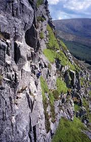 Image result for Nunwick Cc