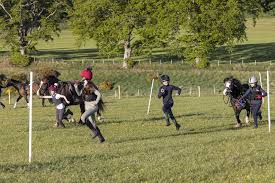Image result for Peebles & District Riding Club