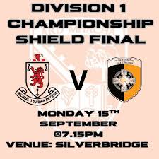 Image result for Silverbridge Harps Gac