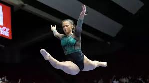 Image result for Wade Gymnastics Club