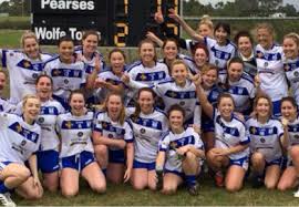 Image result for Wolfe Tones Gaelic Athletic Club