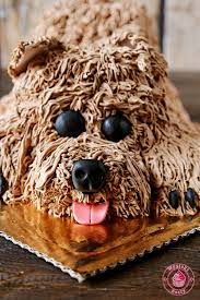 Image result for tort