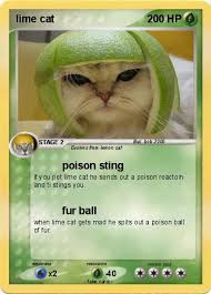 Image result for limecat