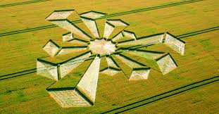 Image result for crop circles