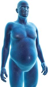 Image result for fat