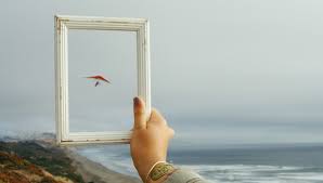 Image result for photos