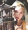 Casanova: Been there, seen that - Rediff.com Movies