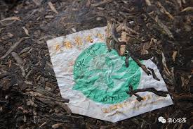 Image result for 2007早春