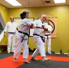 Image result for Ryuko Dojo