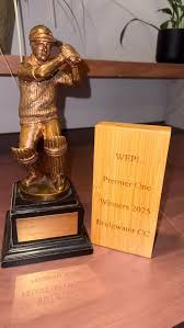 Image result for Bridgwater Cricket Club