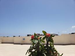 Image result for kiera sky