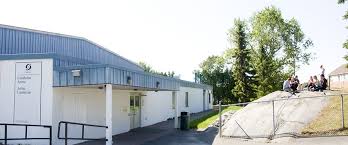 Image result for Cambrian Centre for Activity