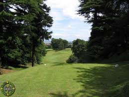 Image result for Flint Golf Club