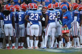 Image result for Grantham Gators